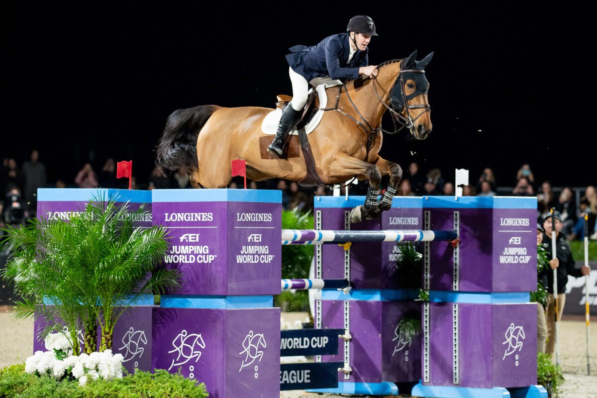 High Star Hero, itinéraire d’un vainqueur de coupe du monde ! 1 54940930351 8d8f8b1a14 o