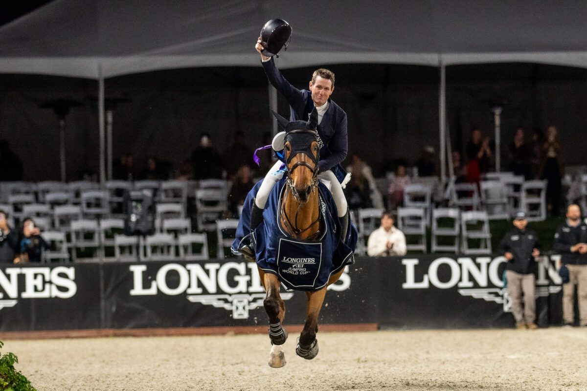 High Star Hero, itinéraire d’un vainqueur de coupe du monde ! 2 54940930361 e64c91396f o