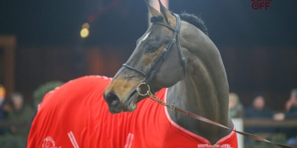 Dirk Demeersman & Côte d’Or Z: confirmation de talents!