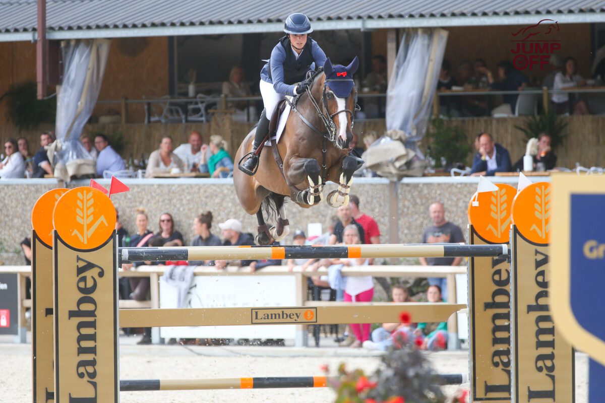 Fin de collaboration entre Marine Scauflaire et le haras d’Hoogpoort. 3 BA3U1181 2