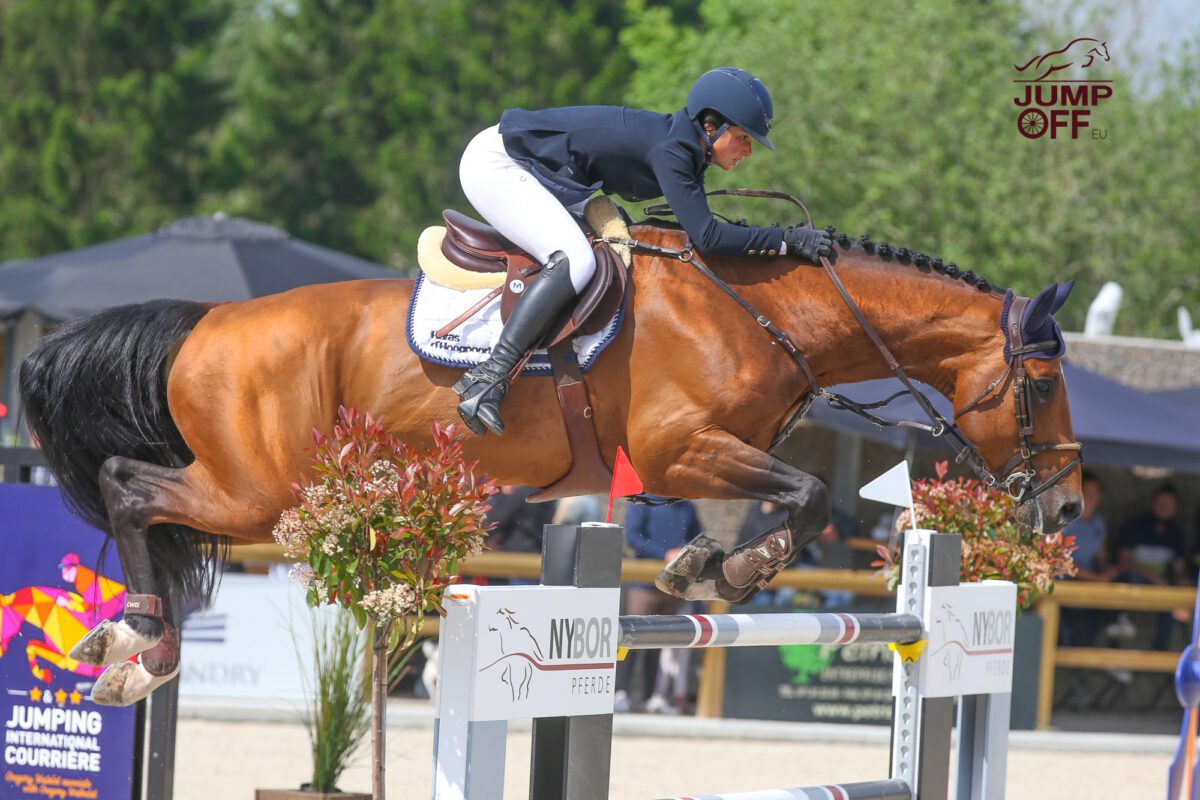 Fin de collaboration entre Marine Scauflaire et le haras d’Hoogpoort. 2 BA3U3265