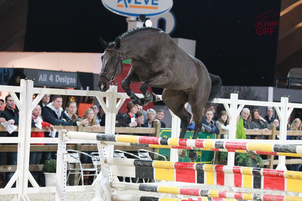 High Star Hero, itinéraire d’un vainqueur de coupe du monde ! 3 E80E0064