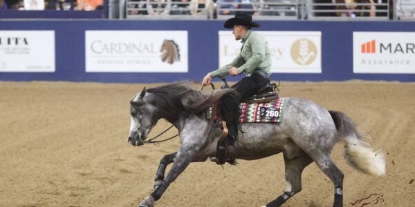 Le reining d’Equita Lyon en image.