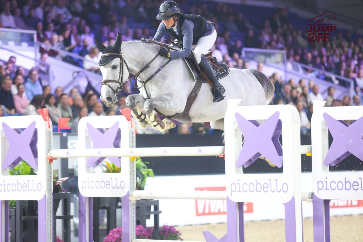 Fin de collaboration entre Marine Scauflaire et le haras d’Hoogpoort. 1 IMG 0838 1