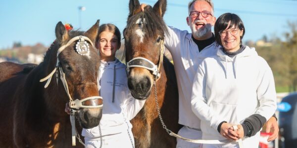 Vincent Vanvinckenroye, la passion du trait Ardennais.