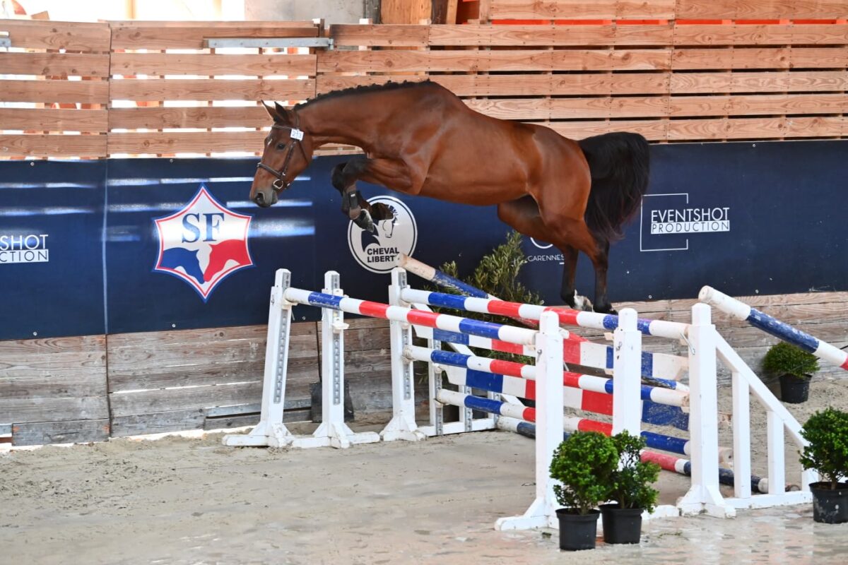 WhatsApp Image 2025 11 14 a 16.13.27 f6bd78a0 1