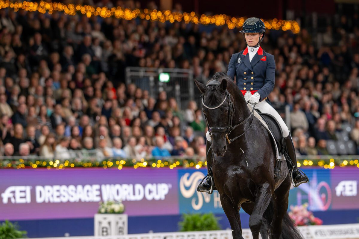 Charlotte Fry, seule au monde à Londres ! 2 54993233187 50db39d3a6 o