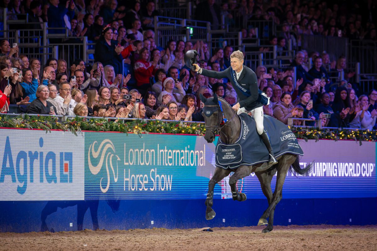 54996750362 28fefabe29 o