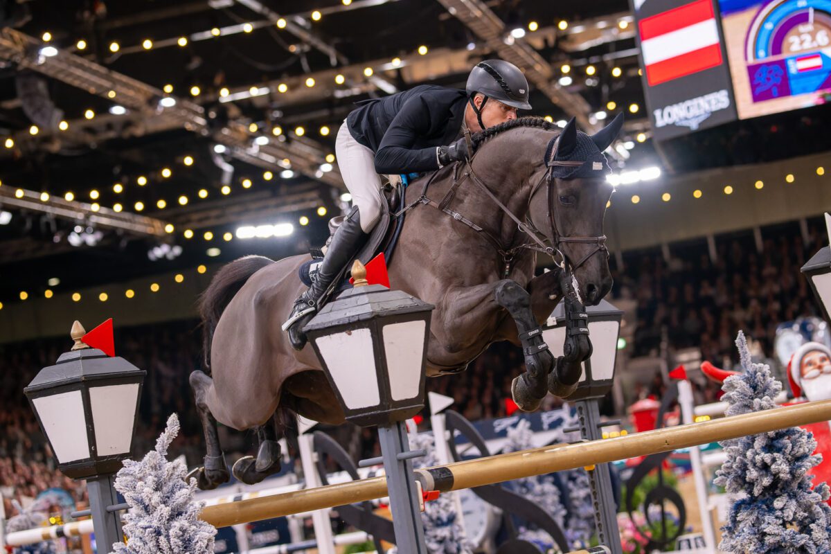 54997634491 ddf8421b81 o