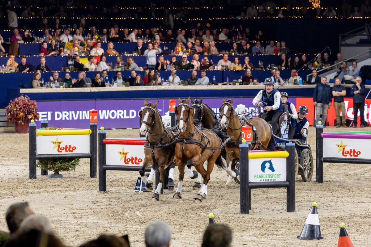 55014945570 d50bc40c23 o