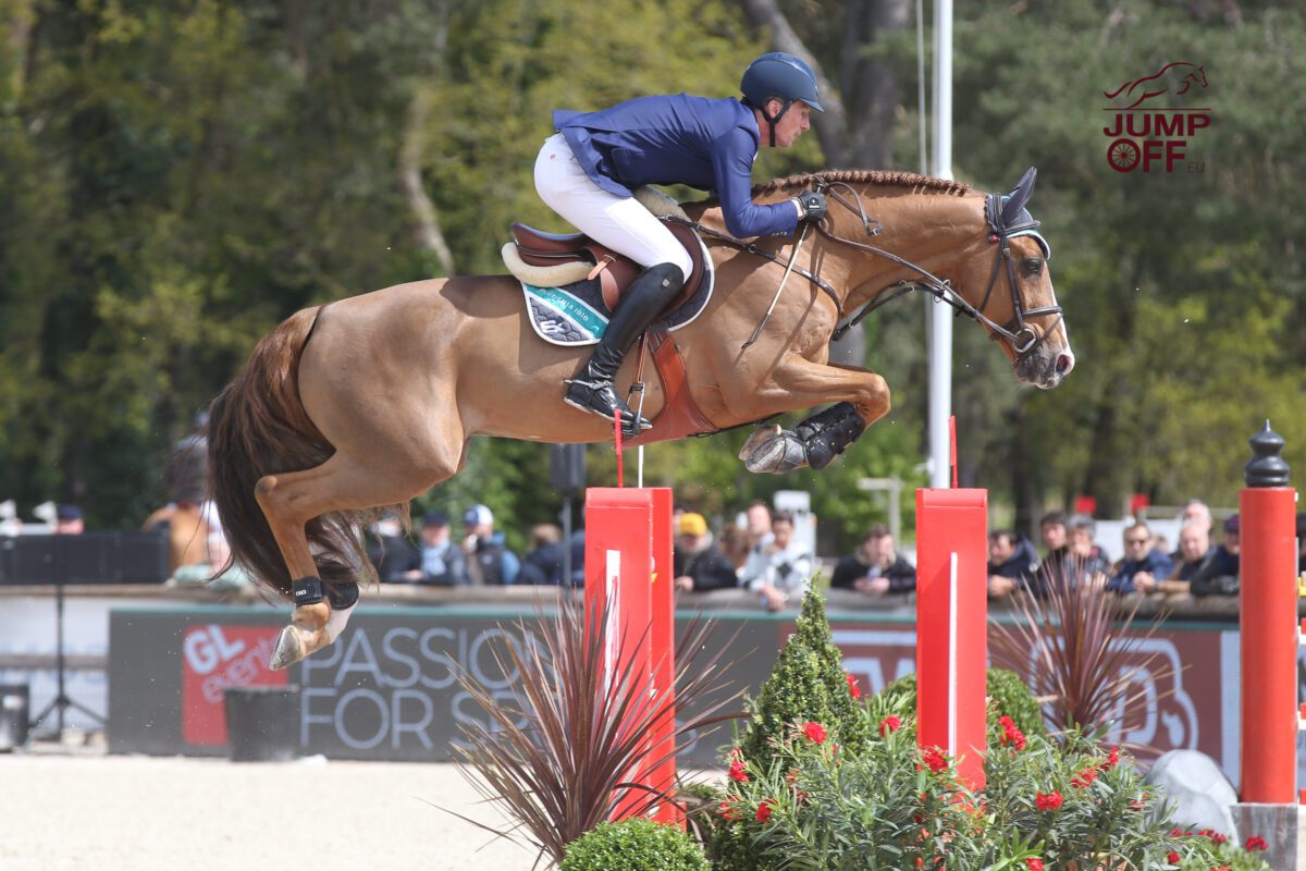 Tobago Z rejoint Zangersheide ! 1 BA3U0308