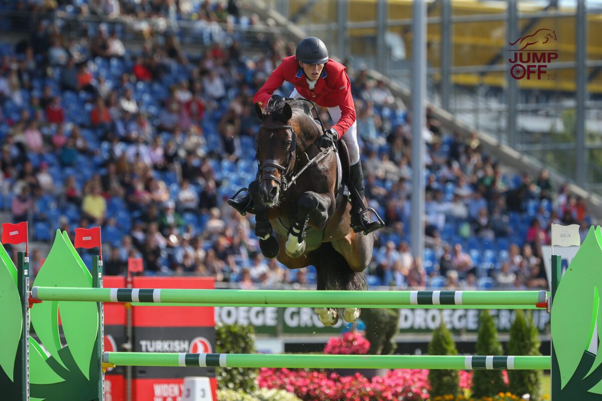 Balou du Reventon à Zangersheide pour 2026 ! 4 BA3U0479 1