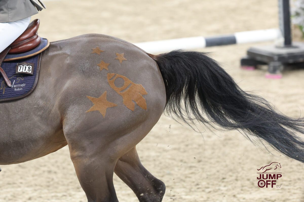 Sophia Aurelia George remporte la finale du Pony Trophy ! 4 IMG 0613