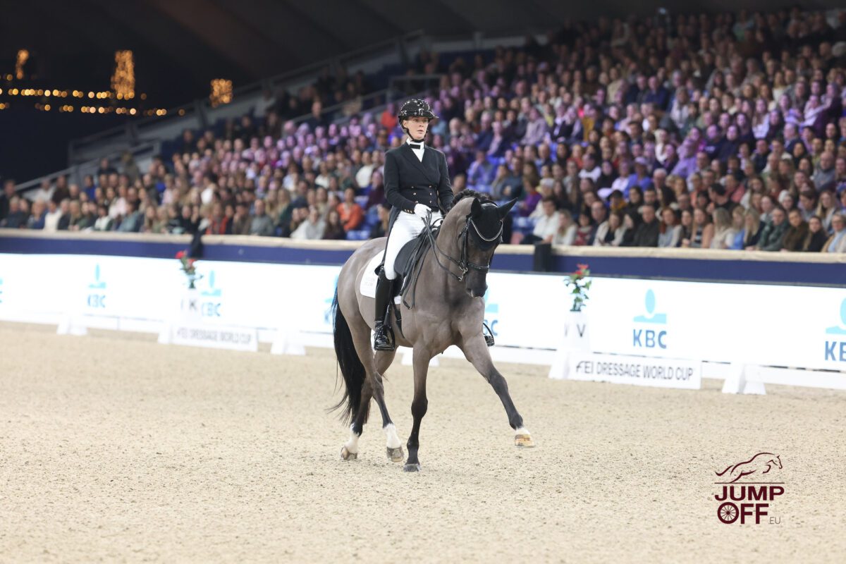 Doublé belge très serré en dressage à Malines. 24 IMG 2852 1