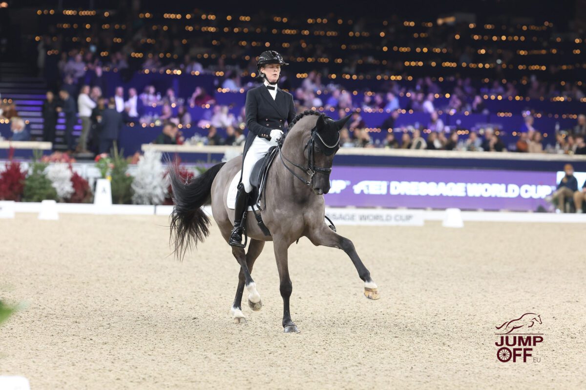 Doublé belge très serré en dressage à Malines. 25 IMG 3157