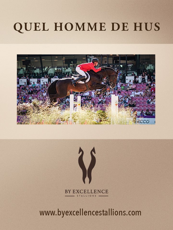 Excellence Stallions