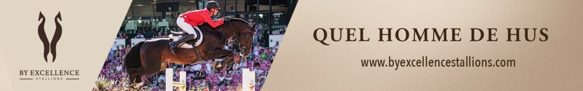 Quel Homme de Hus, l’étalon retraité bien heureux ! 6 QHLong