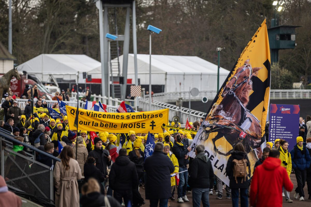 BV 20260125113004BV 7481