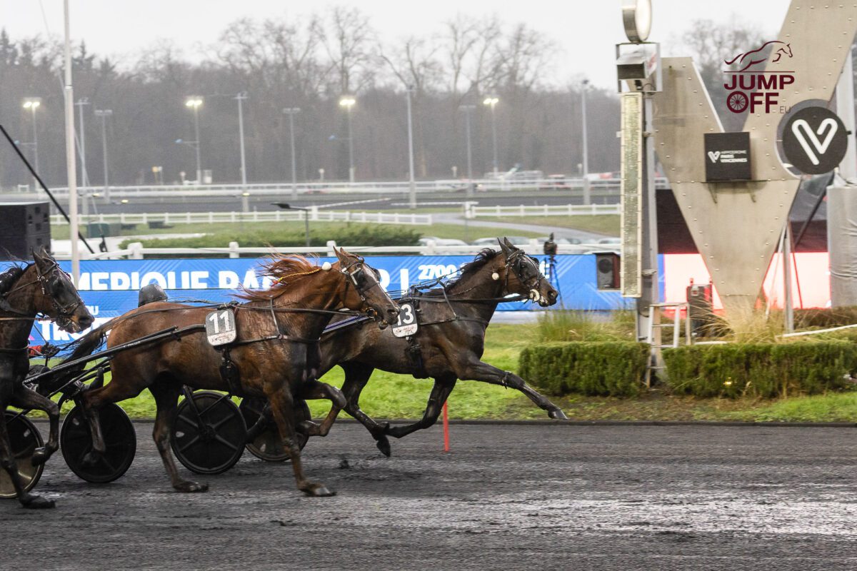Sixième prix d'Amérique pour Franck Nivard ! 1 BV 20260125162438BV 4364 1