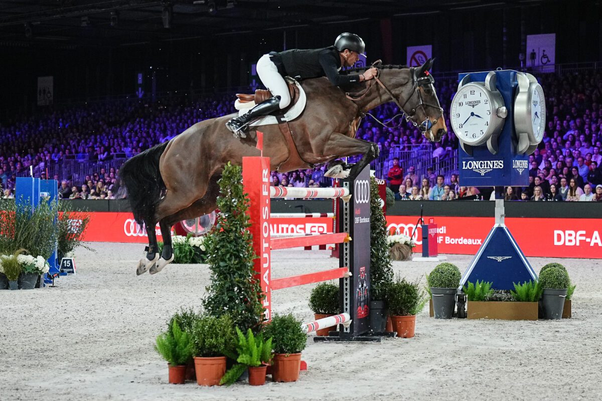 383c8df8a4ec 2 Victor Bettendorf Encore Toi du Linon CSI5 W GRAND PRIX AUDI ArtisteAssocie 010