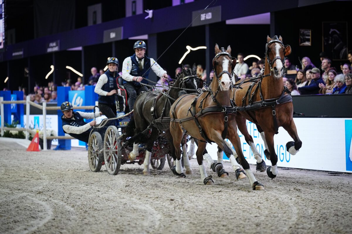 50d1f29d3f5f 1 Dries Degrieck CAIW Final FEI Driving World Cup Final ArtisteAssocie 006 1