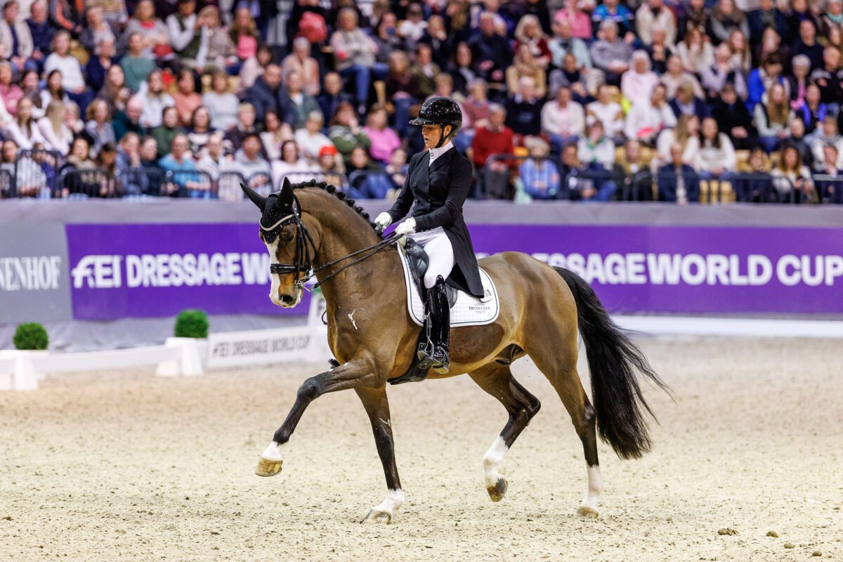 55097088994 7dcc241cd5 o