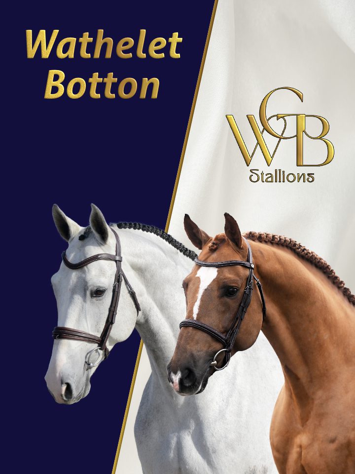 Wathelet Botton Stallions 2026