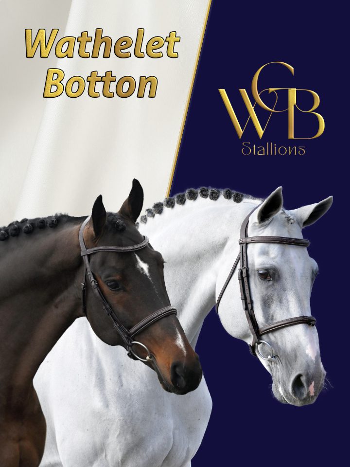 Wathelet Botton Stallions 2026