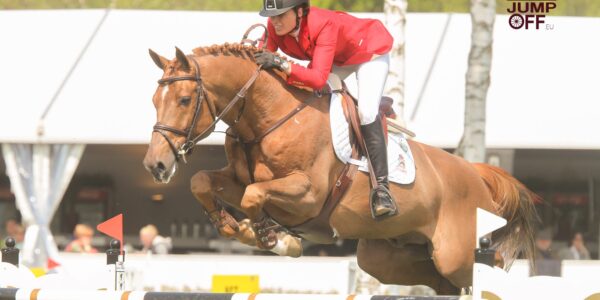 Panama Tame au haras du Gery.