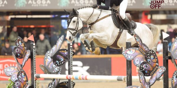 Emilie Maglia à la découverte de la compétition belge des étalons !