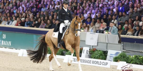 Djembe de hus déménage en suisse