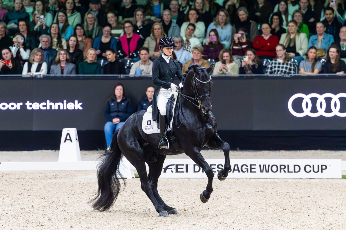 55147392898 1fdd6dfef5 o