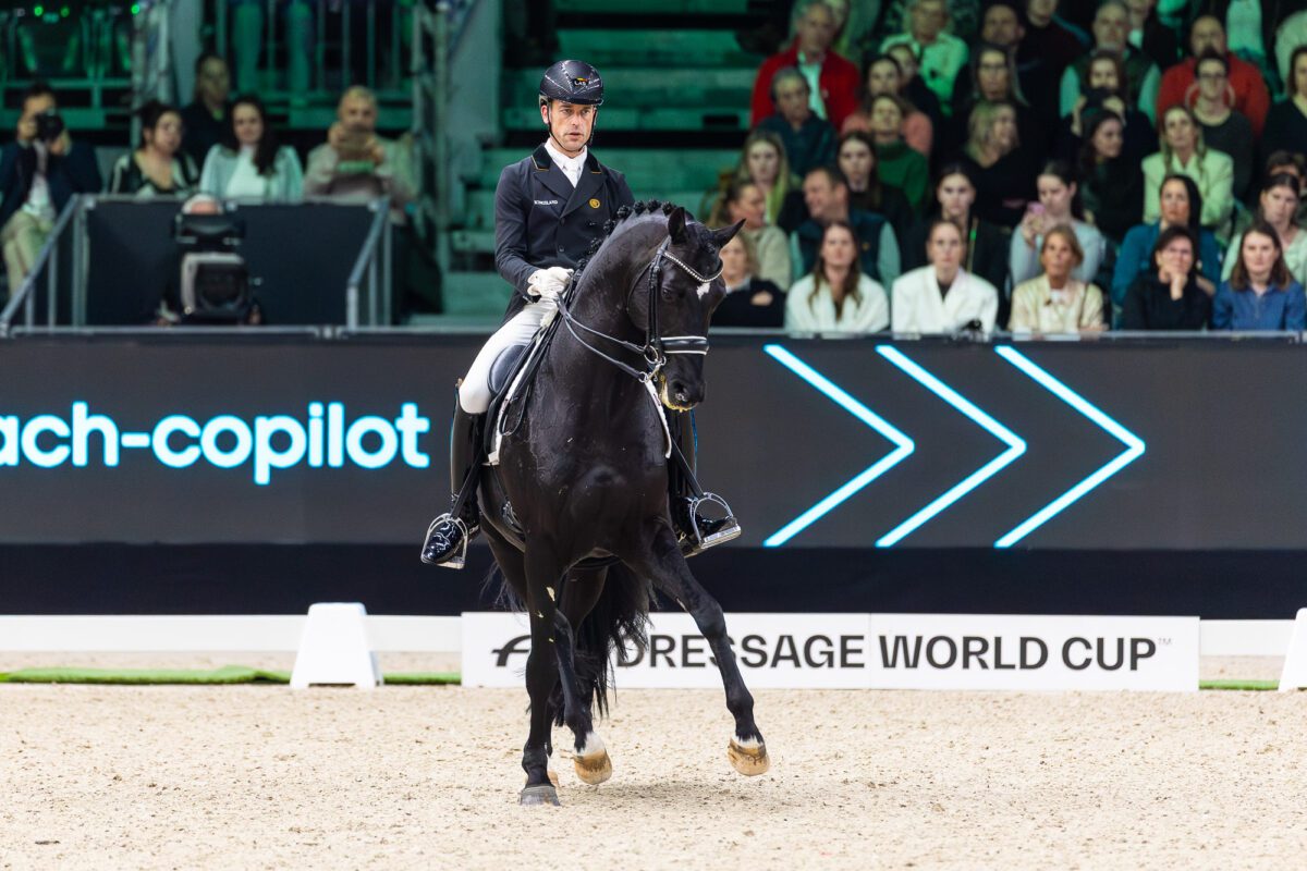 55147614595 b56e010f59 o