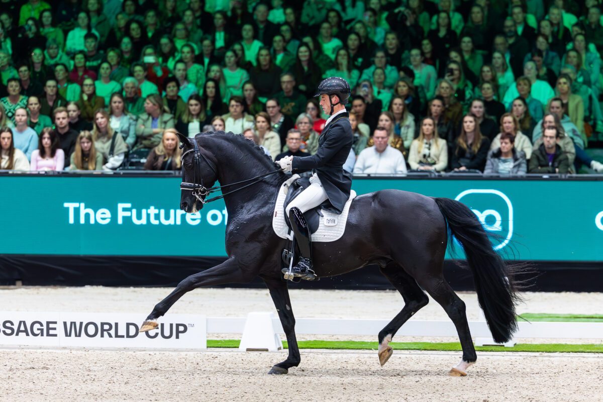 55147614690 88fc591e79 o 1