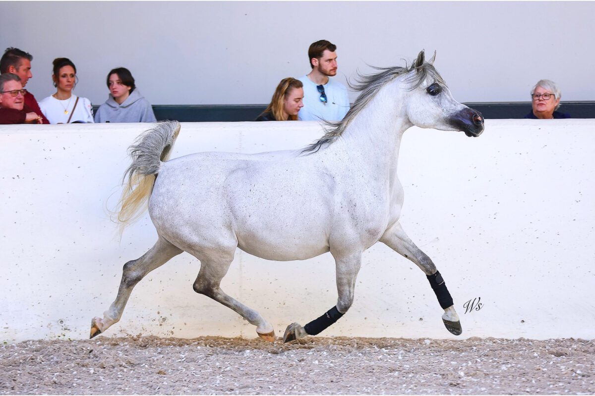 648092431 25671942085841005 8548763517290094663 n