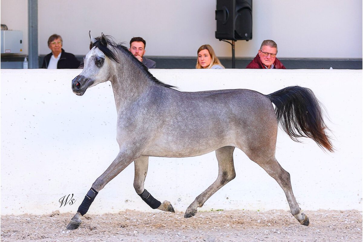 649206107 25671940185841195 2076930346491867947 n