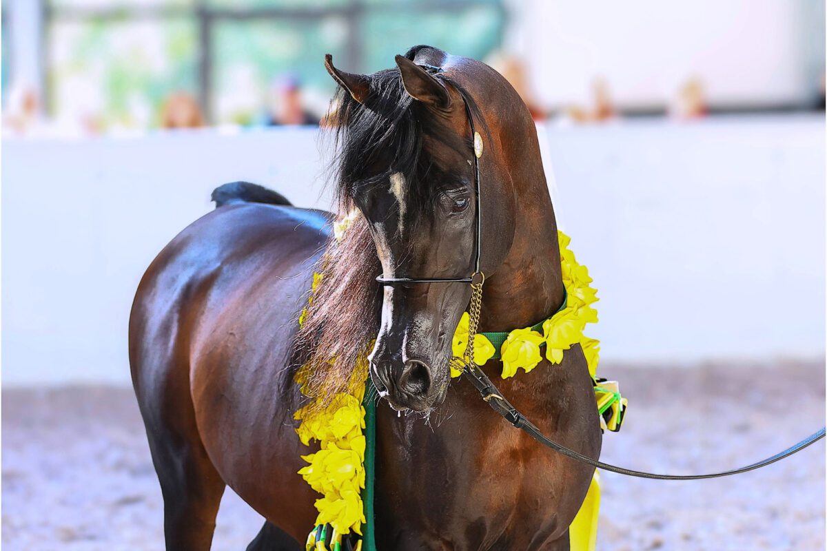 649210278 25671943152507565 8841450592887892546 n