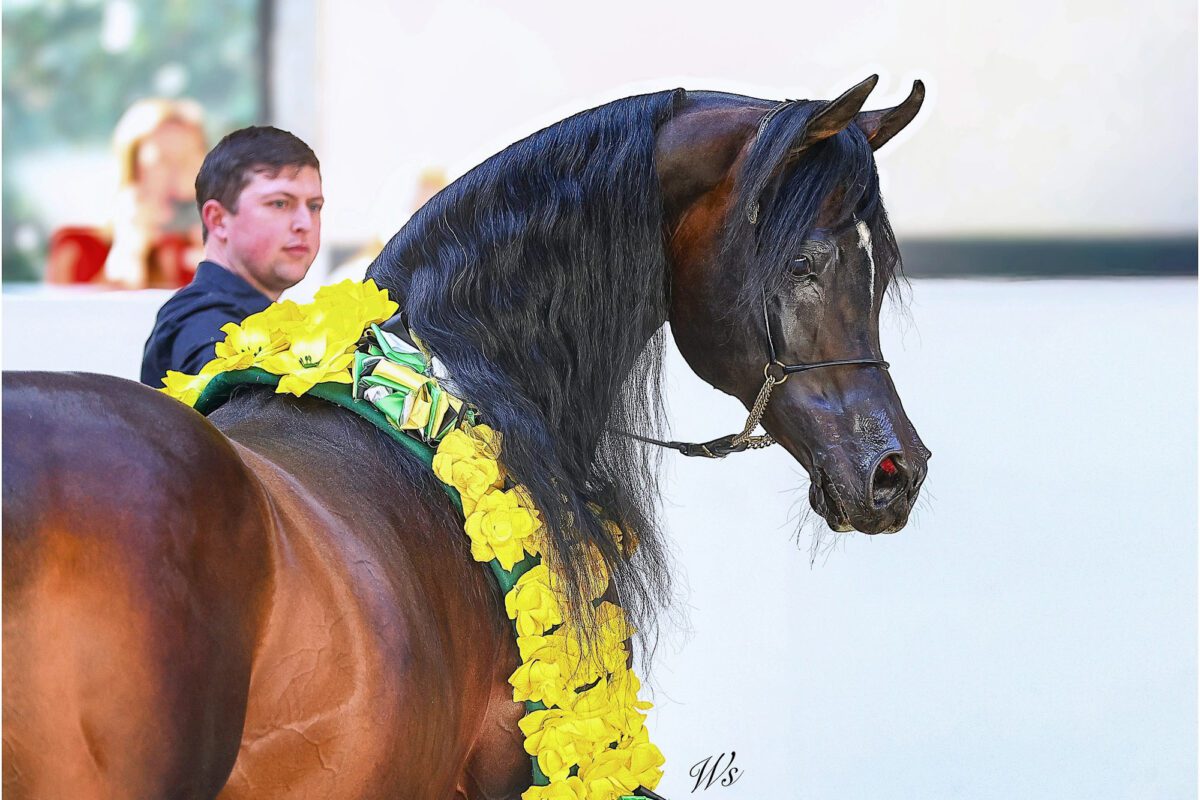 649210278 25671943295840884 8647978129840988531 n 1