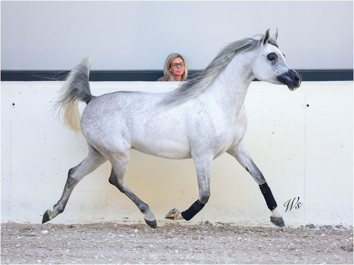 649210491 25671940229174524 1901100758171004484 n