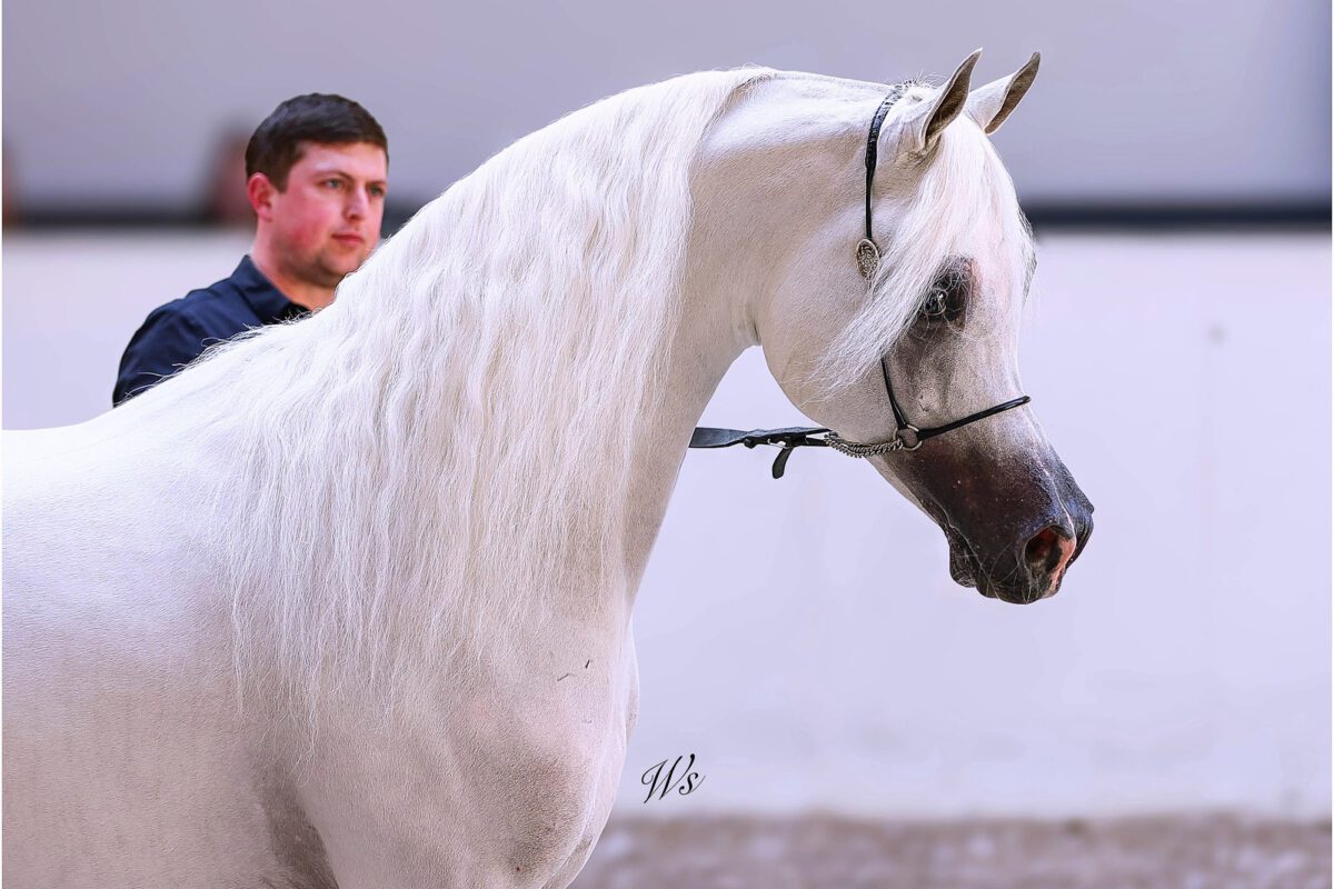 649216449 25671940002507880 4840317060676675751 n