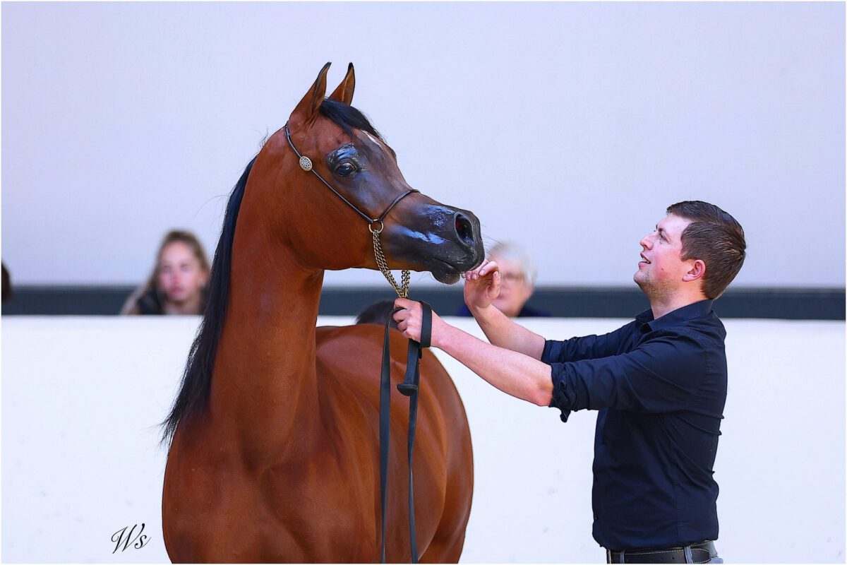 649251199 25671943609174186 3107423908965830822 n