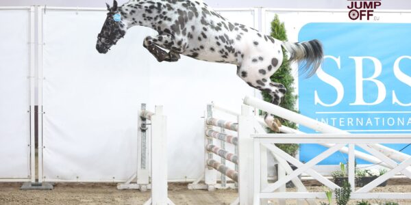 Tumavu l’évidence Z, haut en couleur au SBS !