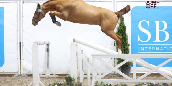 SBS 2026, le bal des élus !