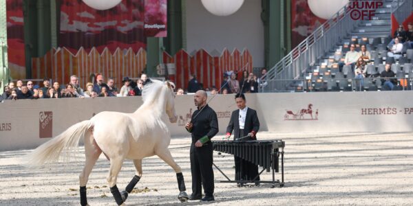 Tous percussionnistes, une histoire de rencontres.