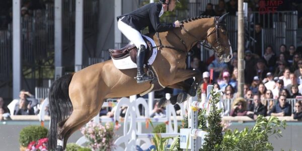 Nouveau classement mondial, mais rien ne bouge au sommet !