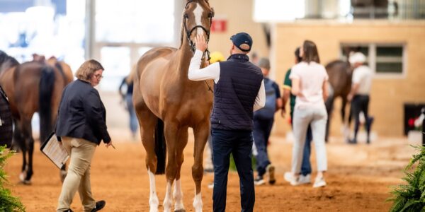 Pretty Woman van’t Paradijs, forfaite à Fort Worth.