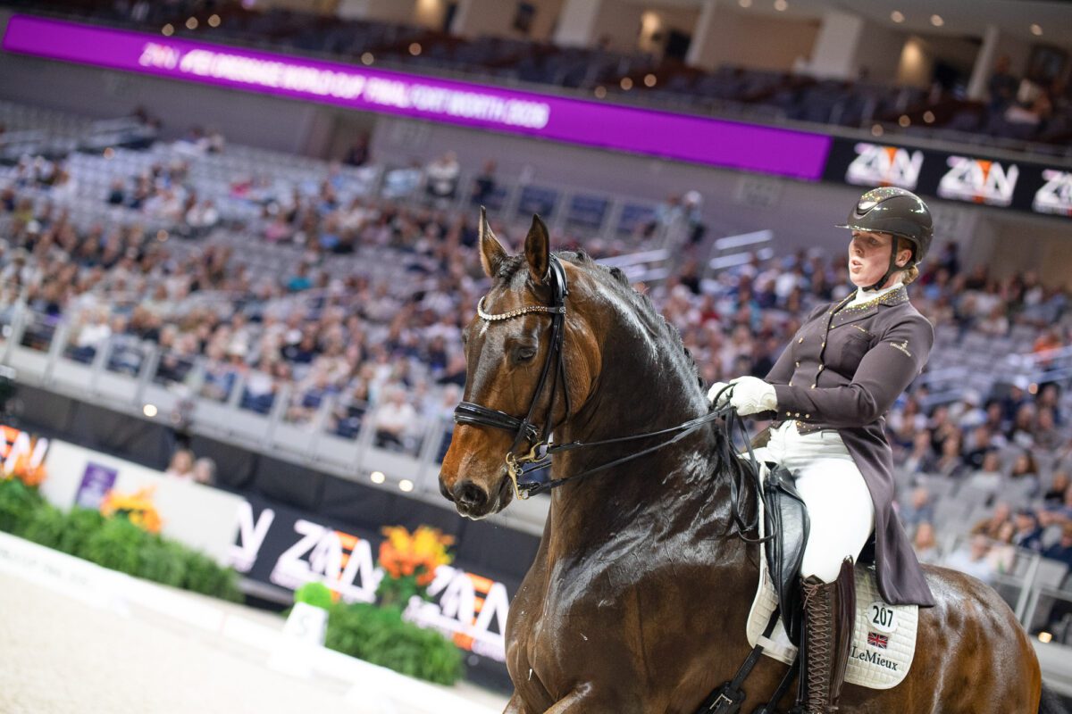 55198158123 b30e5ae850 o