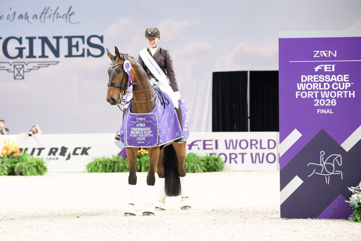 55198416820 50b8dccdd0 o 1