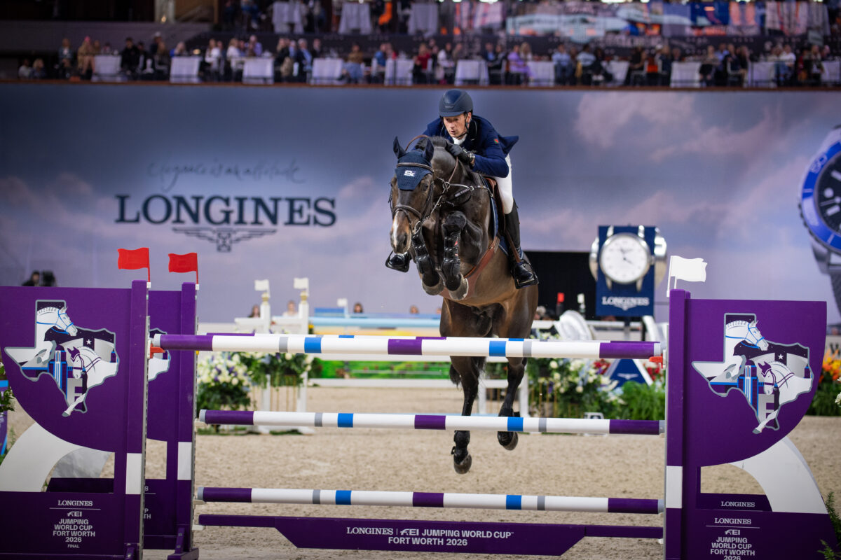 55203776193 1b253af23f o