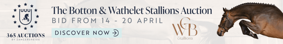 Wathelet & Botton stallions auction by 365 ! 1 Botton Wathelet 1600x250 2